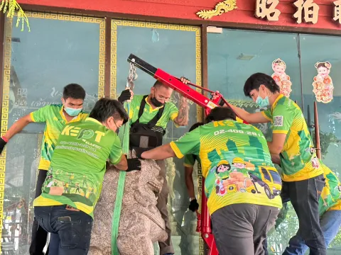 ฮก ลก ซิ่ว